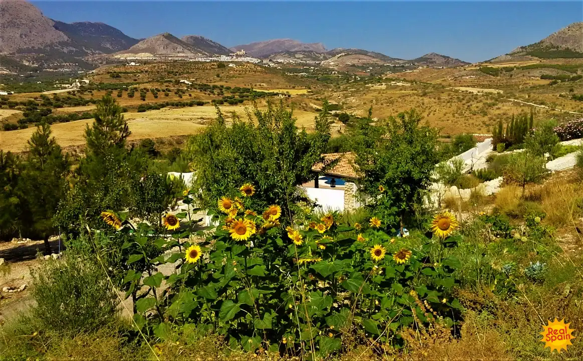 Casa rústica con piscina en venta en Vélez-Blanco, imagen 47