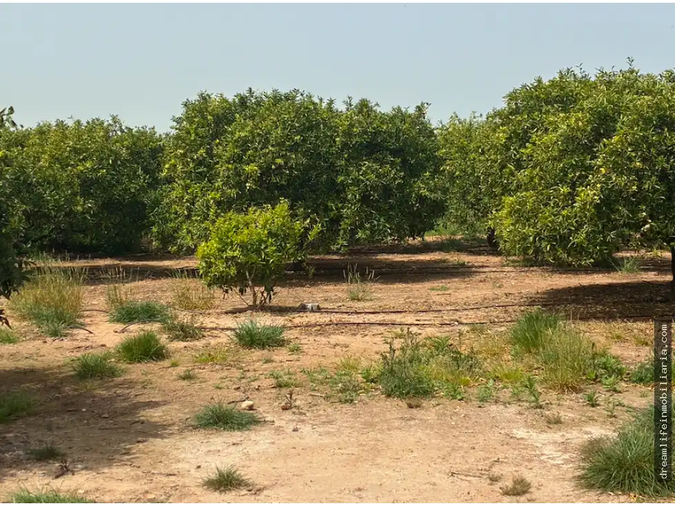 Terrenys i solars en venda a Playa - Ben Afeli, imagen 8