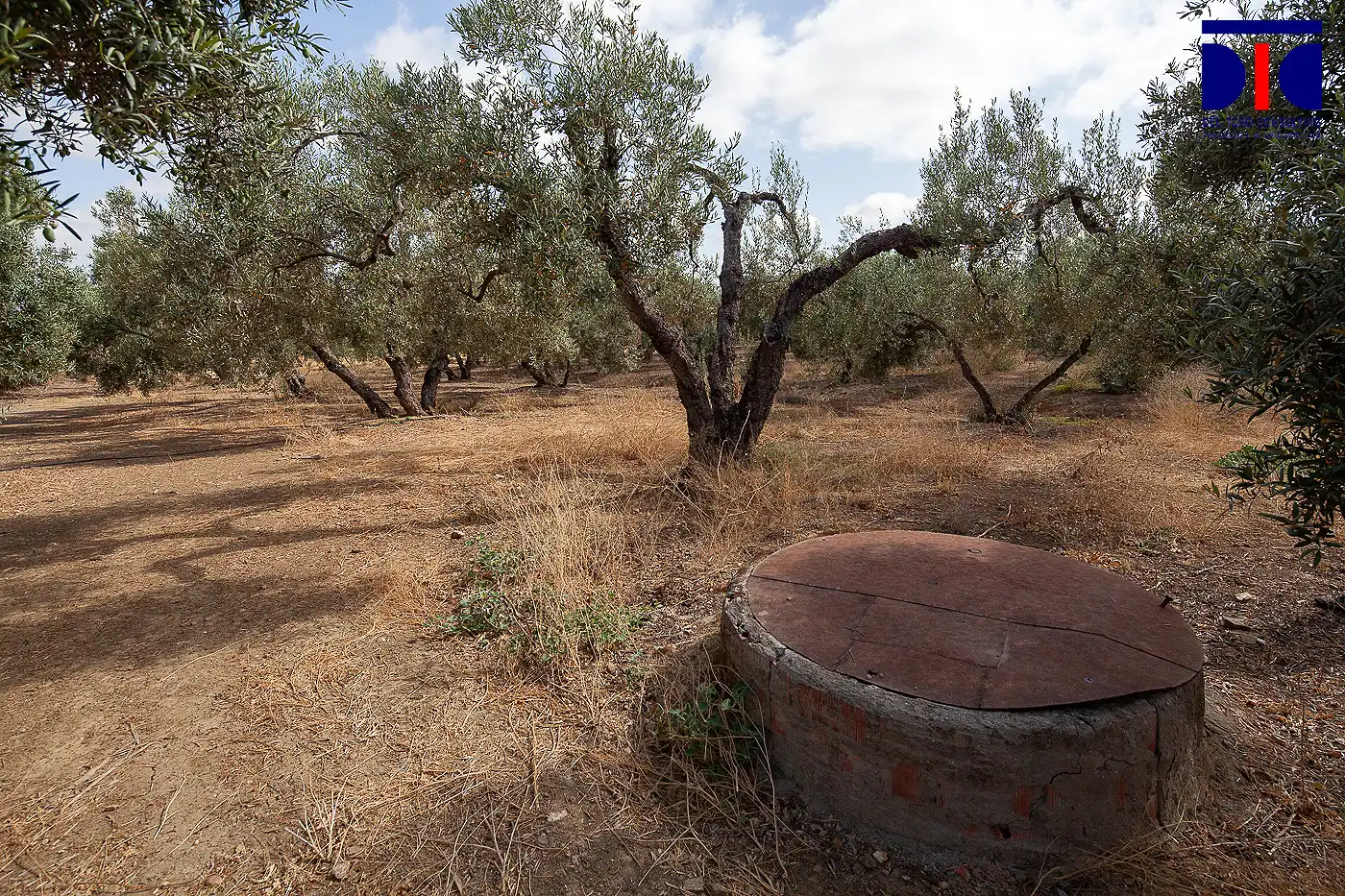 Jardín de Finca rústica en venta en Carmona con Jardín privado, Terraza y Piscina