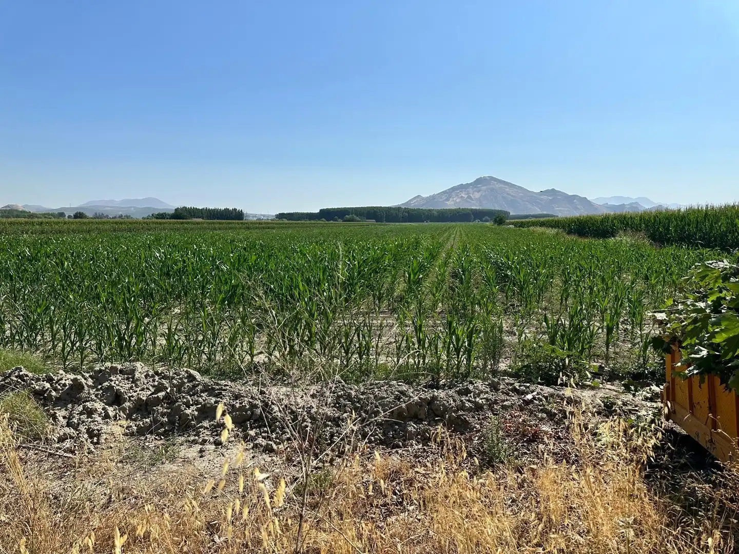 Grundstücke und Bauplätze zum Verkauf in Fuente Vaqueros, imagen 9