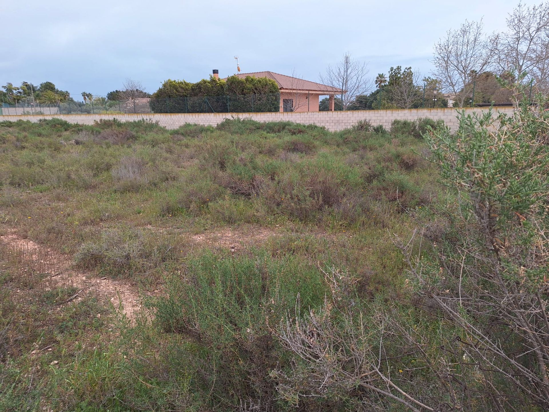 Terreno en venta en San Vicente del Raspeig / Sant Vicent del Raspeig
