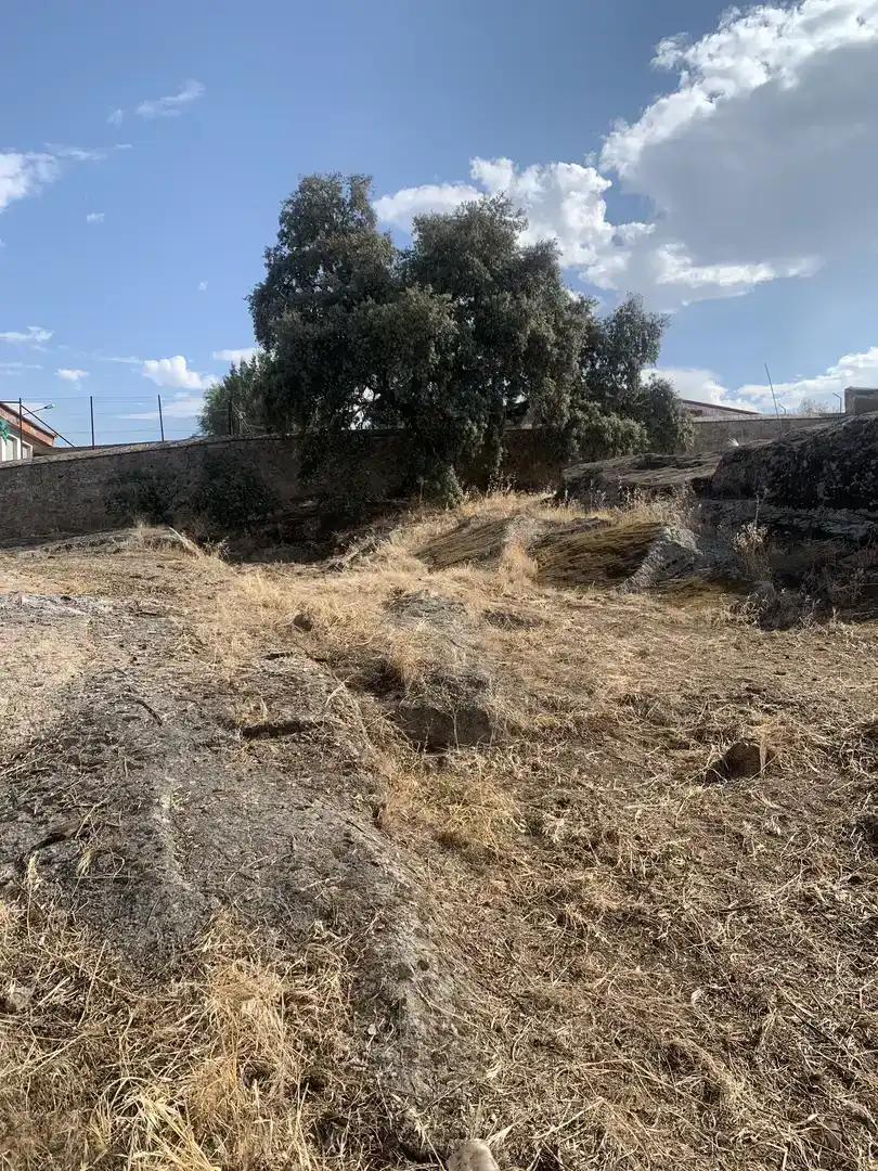 Finca rústica en venda en Malpartida de Cáceres amb Terrassa