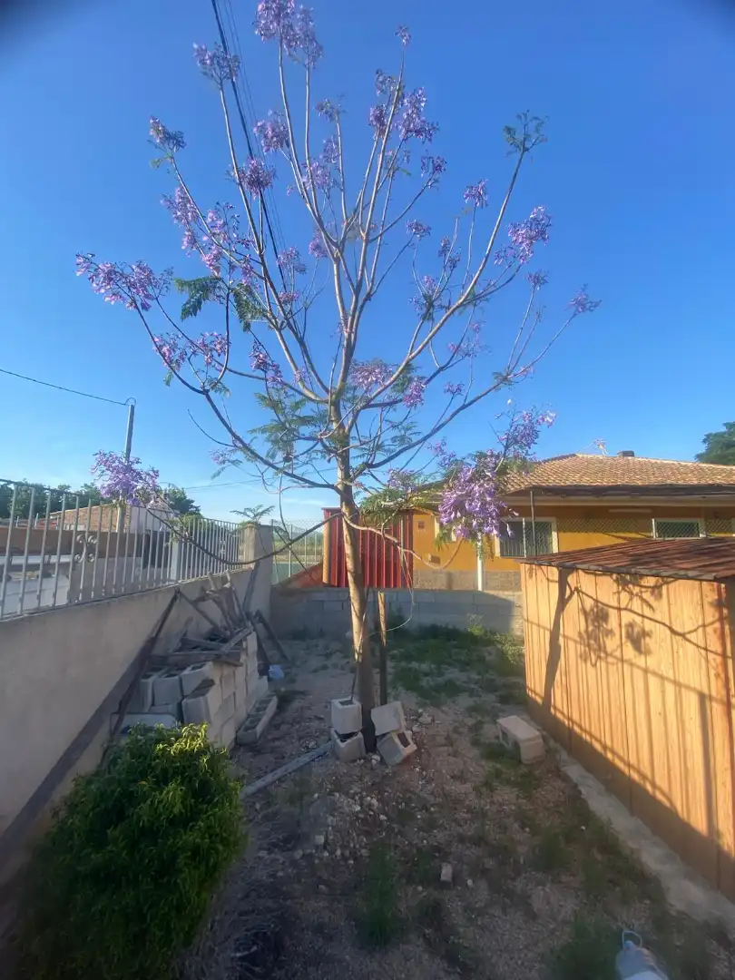 Terrenos y solares en venta en Camino la Loma, imagen 5