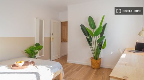 Foto 3 de Habitació a La Bordeta, Barcelona Capital