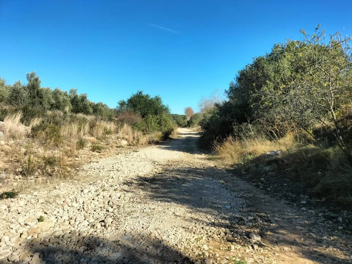 Commercial properties for sale in Navarrés