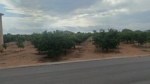 Foto 4 de Finca rústica en venda a Piscinas, Vila-real