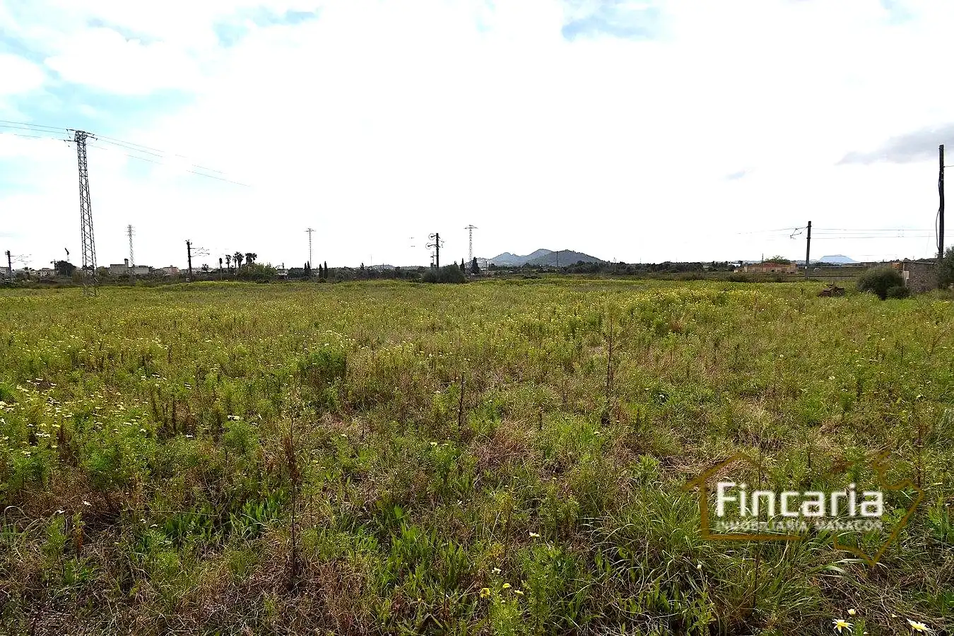 Country homes for sale in Manacor