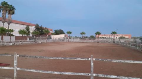 Foto 2 de Terreno en venta en Loreto, Espartinas