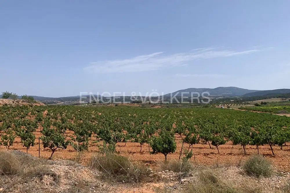 Lands and plots for sale in Requena, imagen 48