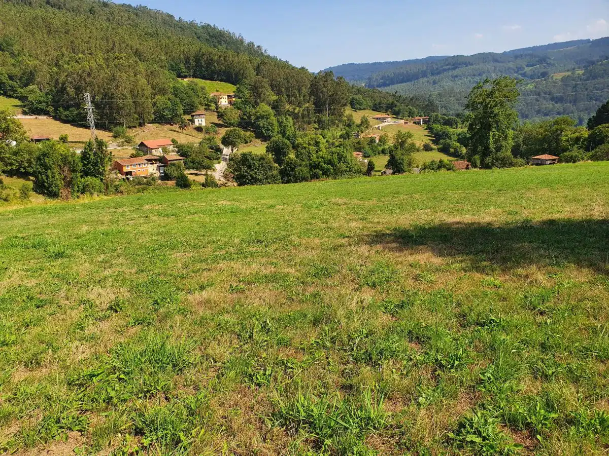 Terrenos y solares en venta en Salas, imagen 19