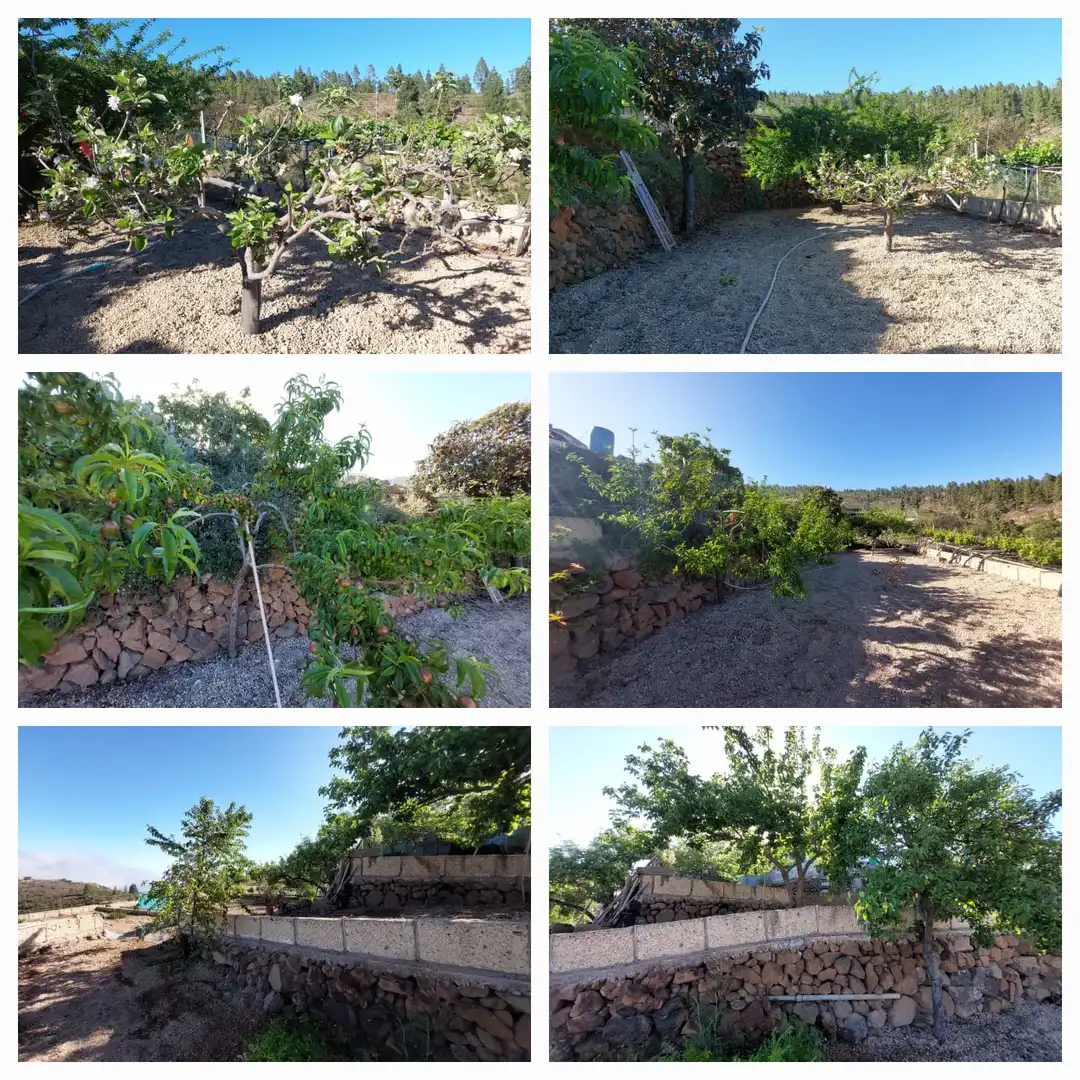 Grundstücke zum Verkauf in Granadilla de Abona