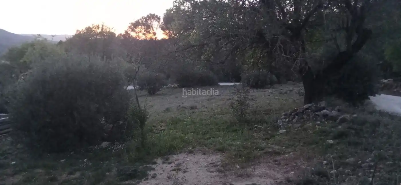 Pis en venda a JV-7011 85, imagen 3