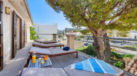 Foto 4 von Dachboden zur Miete in Port de Pollença - Passeig de Londres, Port de Pollença, Pollença