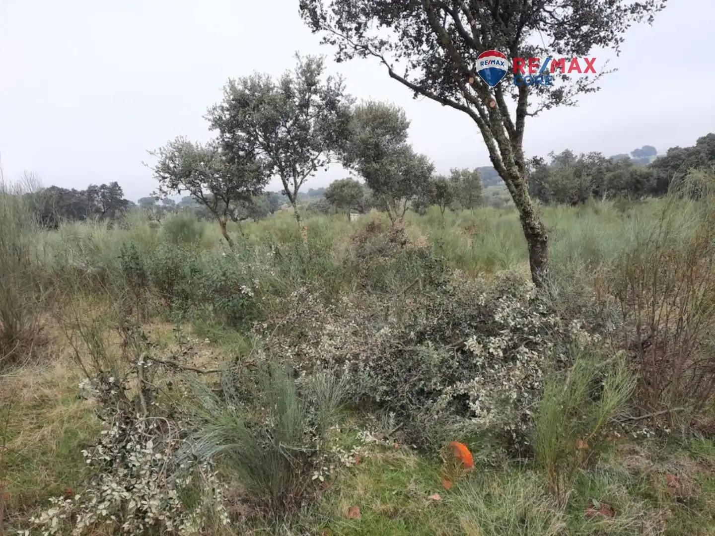Terreni e lotti in vendita a Alburquerque, imagen 25
