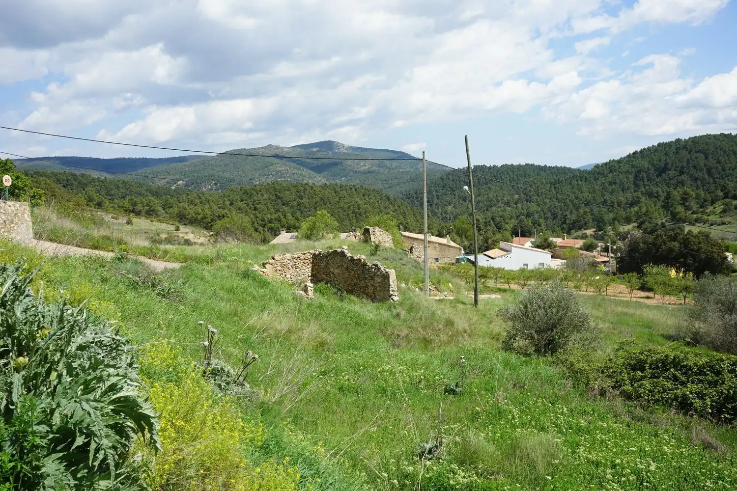 Rural land for sale in SUBIDA VILLAR DE OLMOS 0, imagen 4
