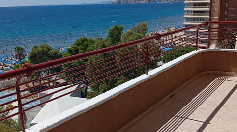 Foto 5 de Pis de lloguer a Avenida del Mediterráneo, Playa Levante, Benidorm