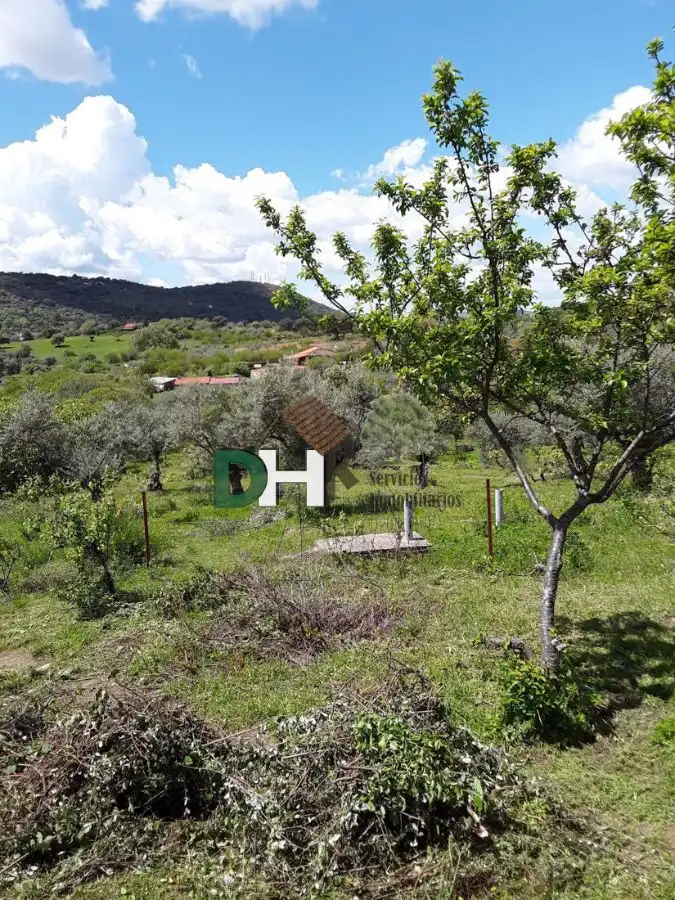 Finca rústica en venta en Los Pinos - El Pilar