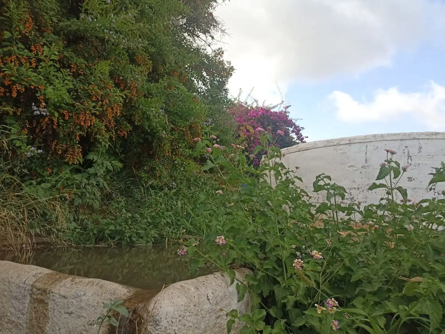 Jardín de Residencial en venta en Alhaurín de la Torre