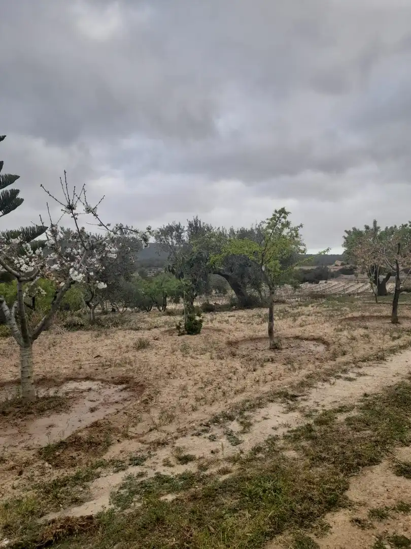 Rural land for sale in Salomó, imagen 25