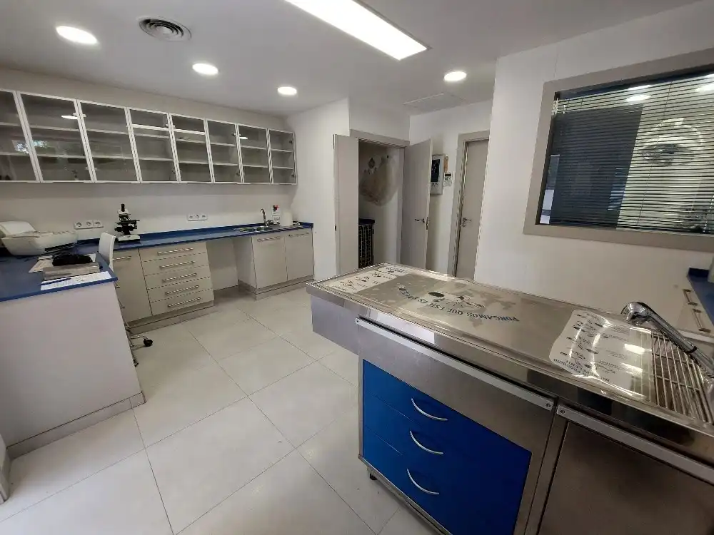 Local comercial en venda a Les Torres, imagen 3