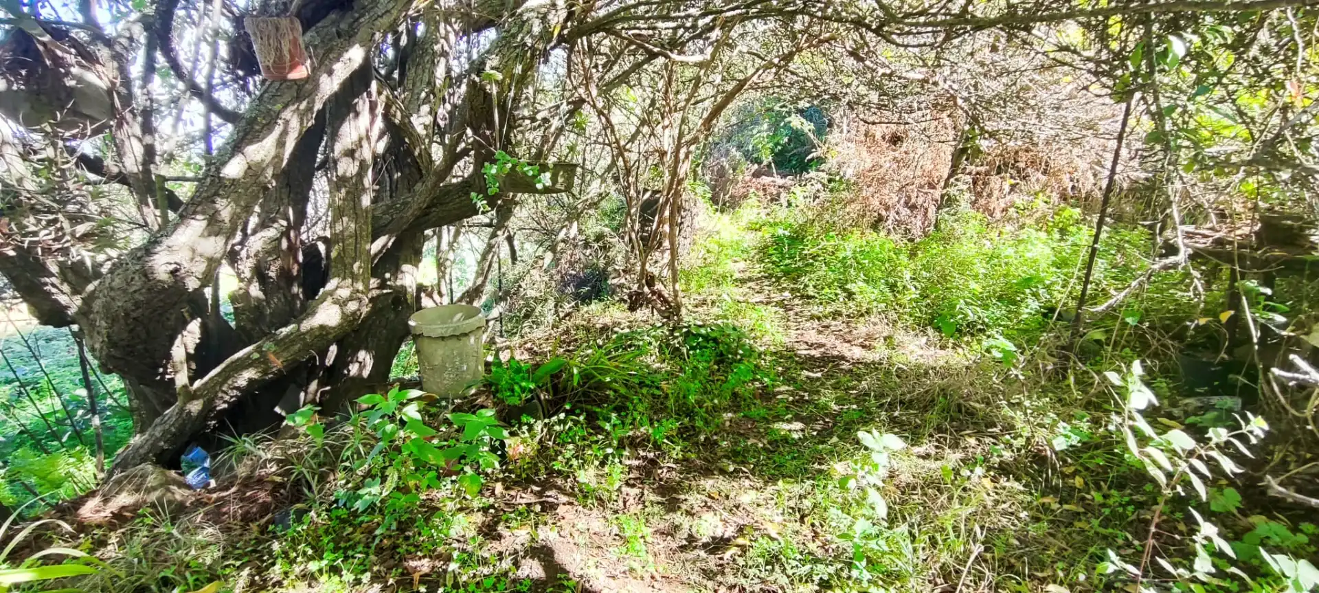 Casa o chalet en venta en Icod de los Vinos con Jardín privado y Terraza