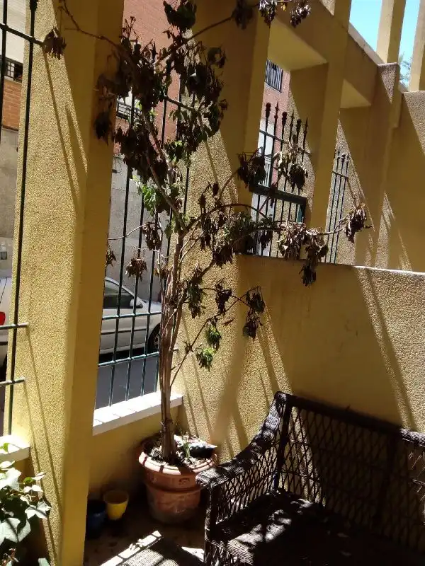 Balcony of Duplexes for sale in Elche / Elx  with Air Conditioner, Heating and Parquet flooring