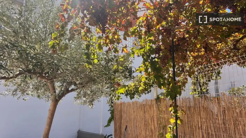 Jardín de Piso de alquiler en Oliva Playa