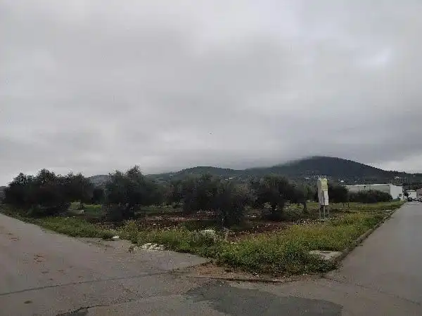 Rustikales Grundstück zum Verkauf in Puerto Serrano, imagen 16