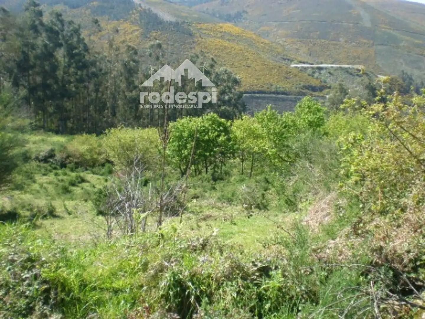 Terreny rústic en venda a A Cañiza, imagen 2