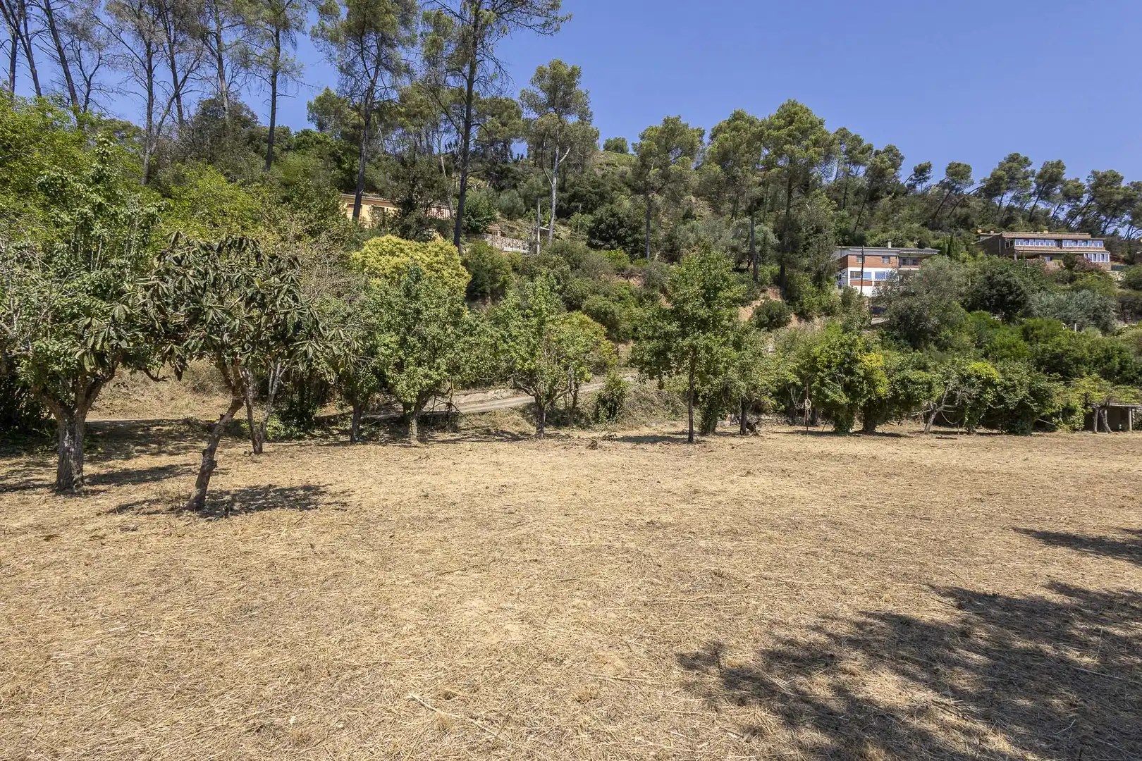 Casa con jardín en venta en Torrelles de Llobregat, imagen 9