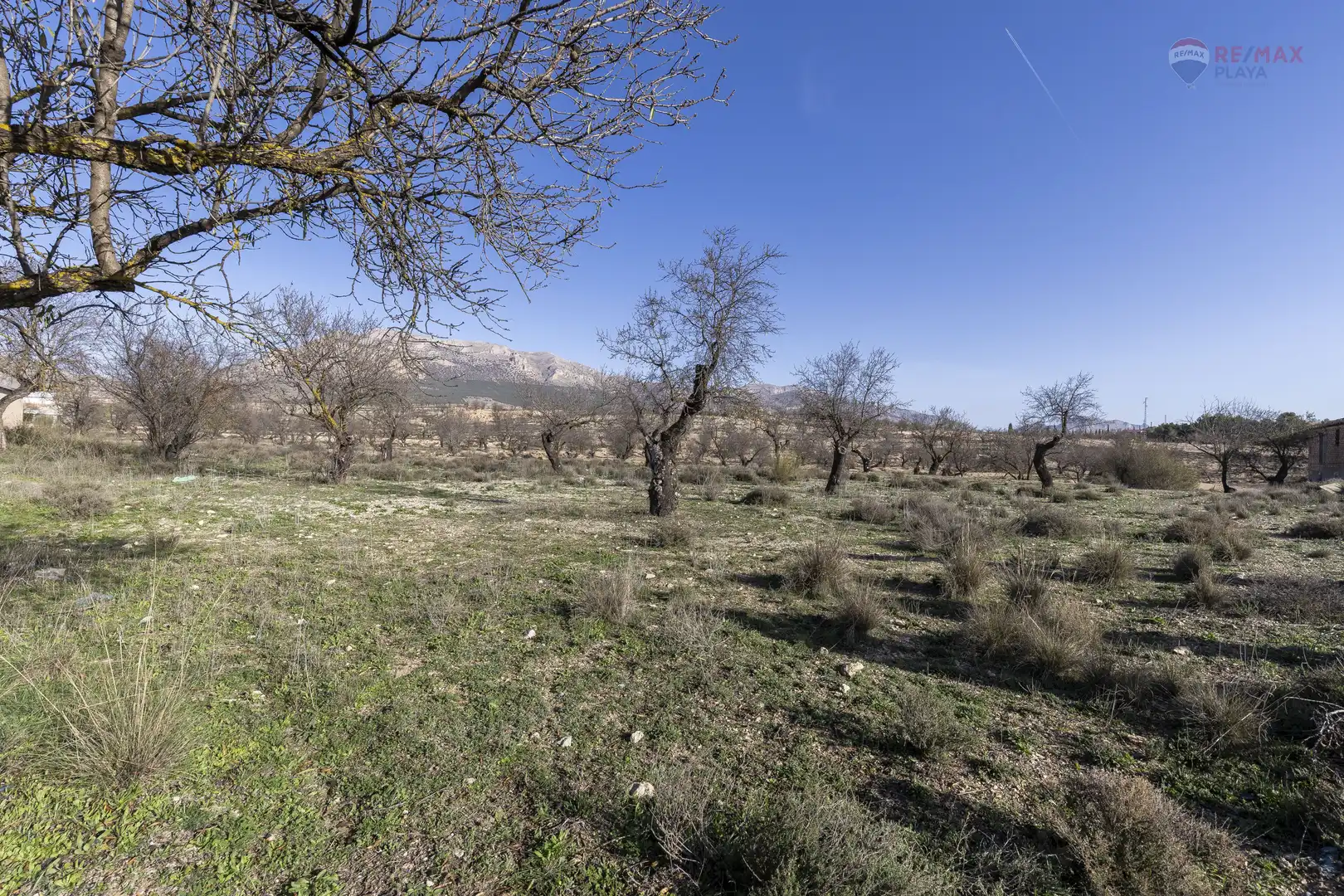 Rural land for sale in Paraje el Vivero 1, imagen 15