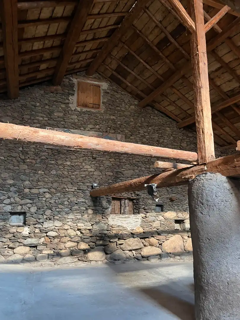Vista exterior de Finca rústica en venda en Alt Àneu