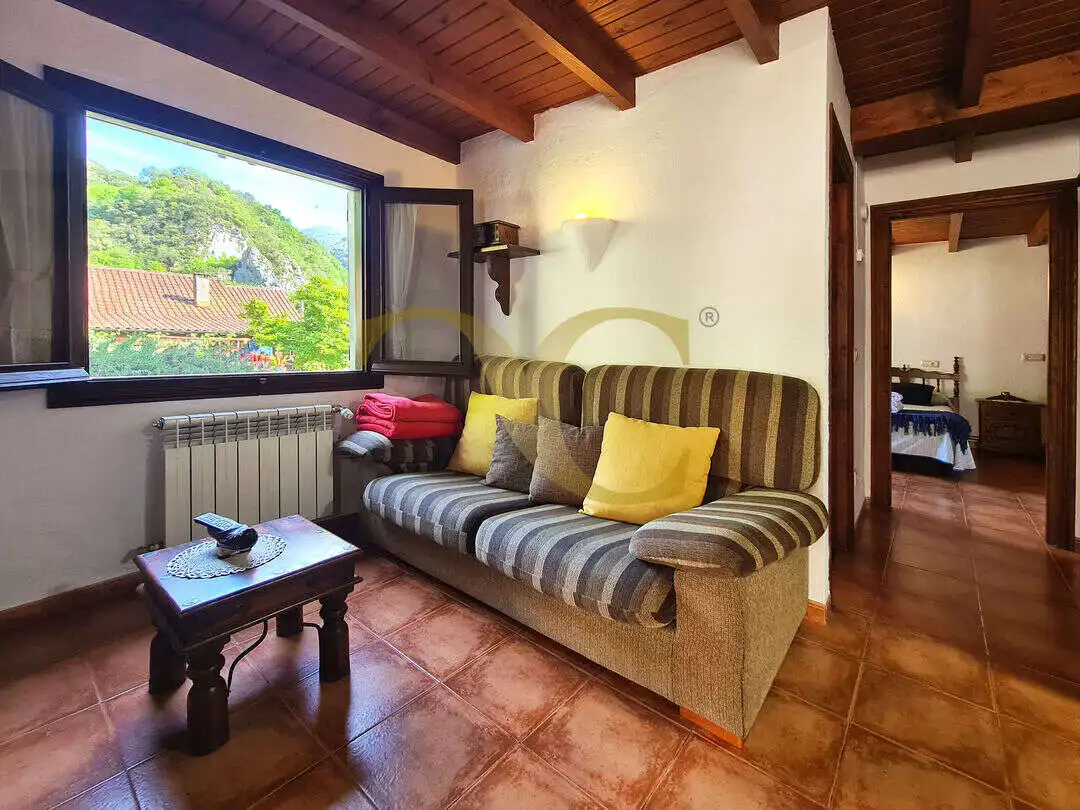 Sala d'estar de Casa o xalet en venda en Peñamellera Alta amb Calefacció, Jardí privat i Terrassa