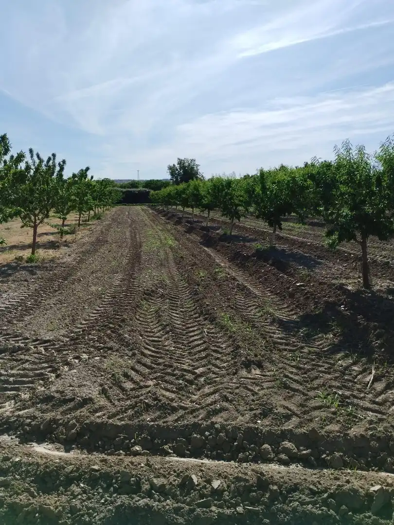 Terreni e lotti in vendita a Carretera Polígono 1 Parcela 83 PAGE BAJO. VILLA DE OTURA (, imagen 21