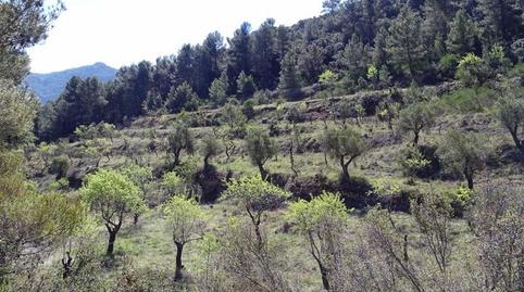 Foto 4 de Finca rústica en venda a Beceite, Teruel