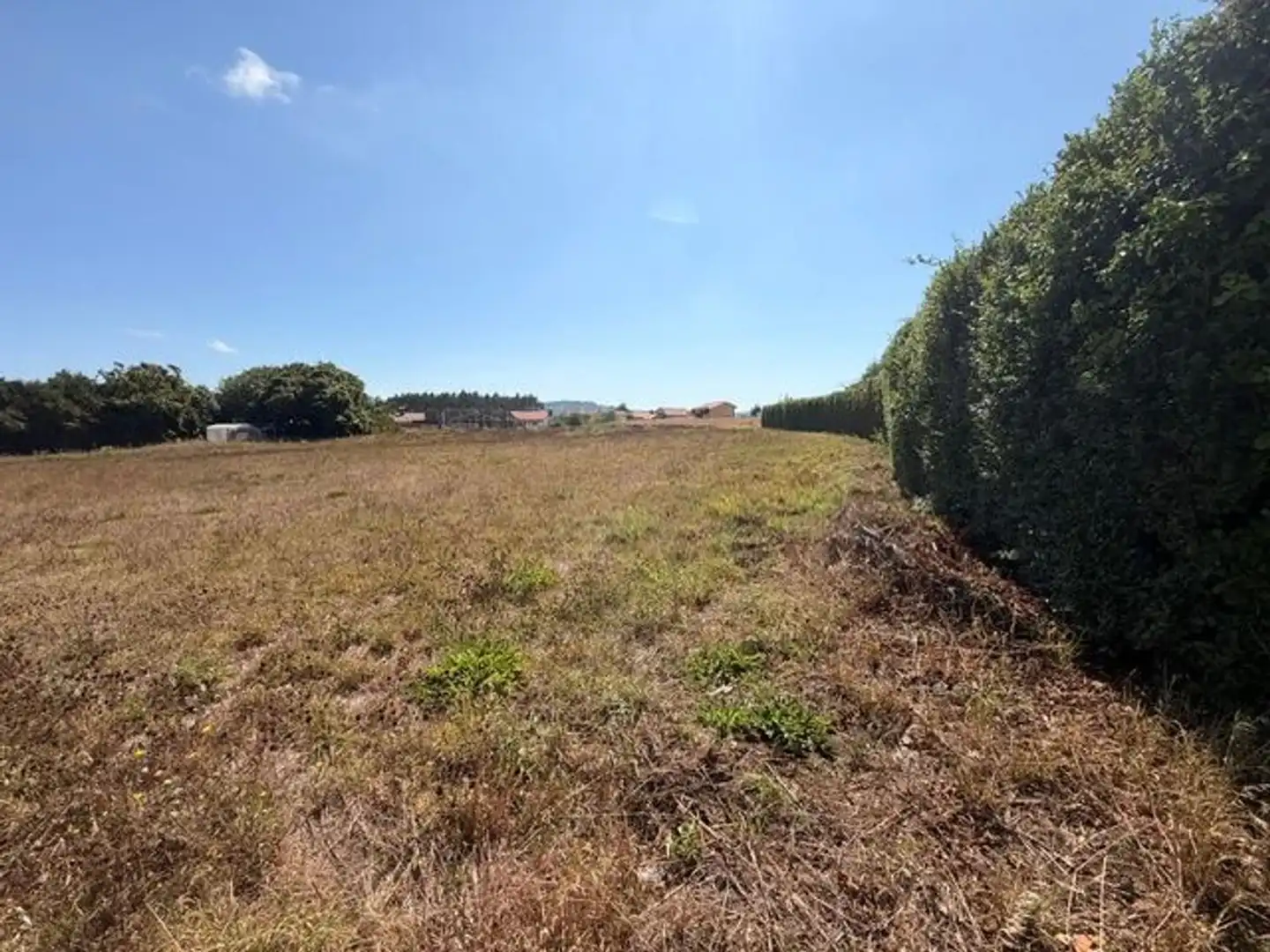 Rural land for sale in Lugar Torre, imagen 2