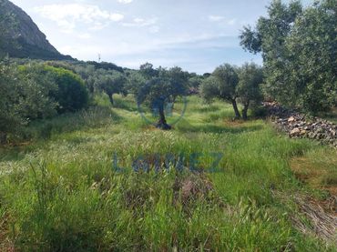 Terreni e lotti in vendita a Peñarroya-Pueblonuevo