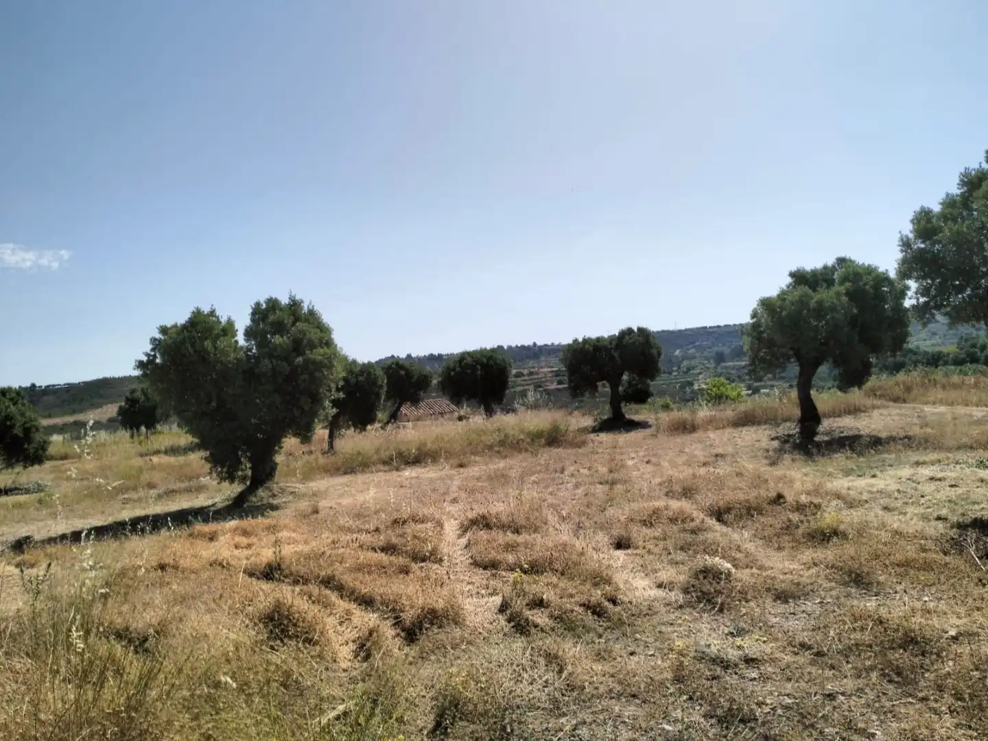 Terreno en venta en La Pobla de Massaluca