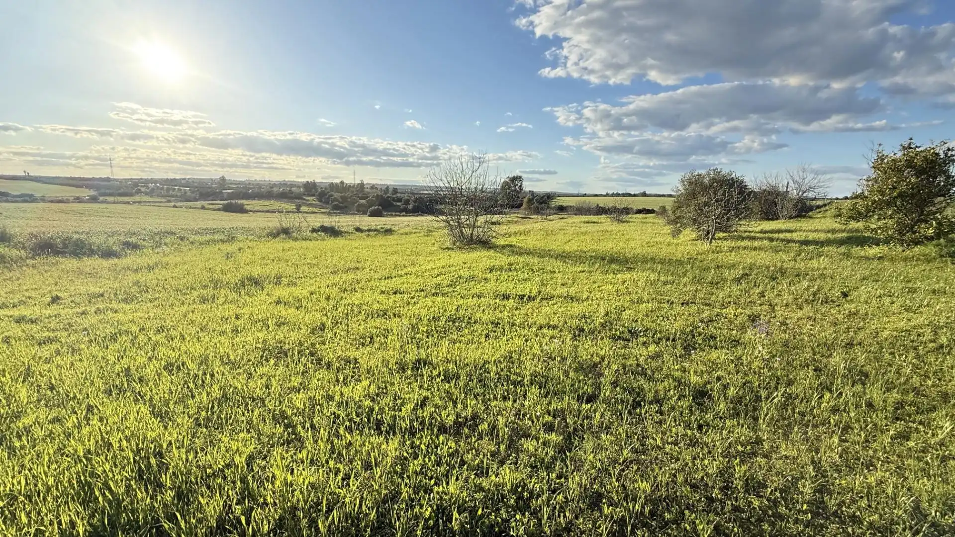 Terreno en venta en Gibraleón