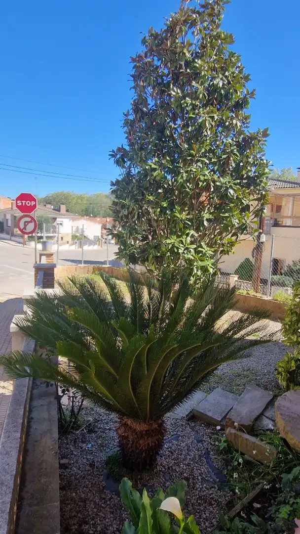 Detached house with terrace for sale in Carrer Vaixell Esmeralda, imagen 5
