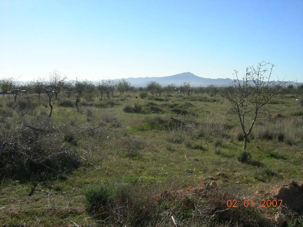 Casa o chalet en venta en Fuente Álamo de Murcia