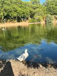 Casa o xalet en venda a Calle San Andrés, Carretera de Córdoba - Libertad