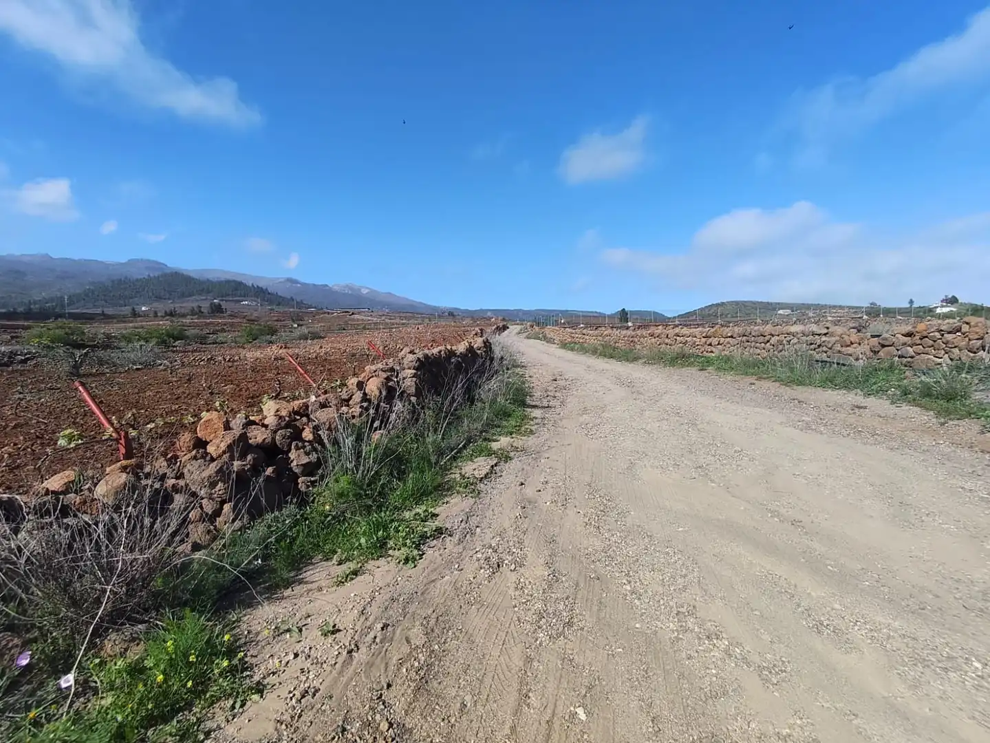 Terreno en venta en Vilaflor de Chasna