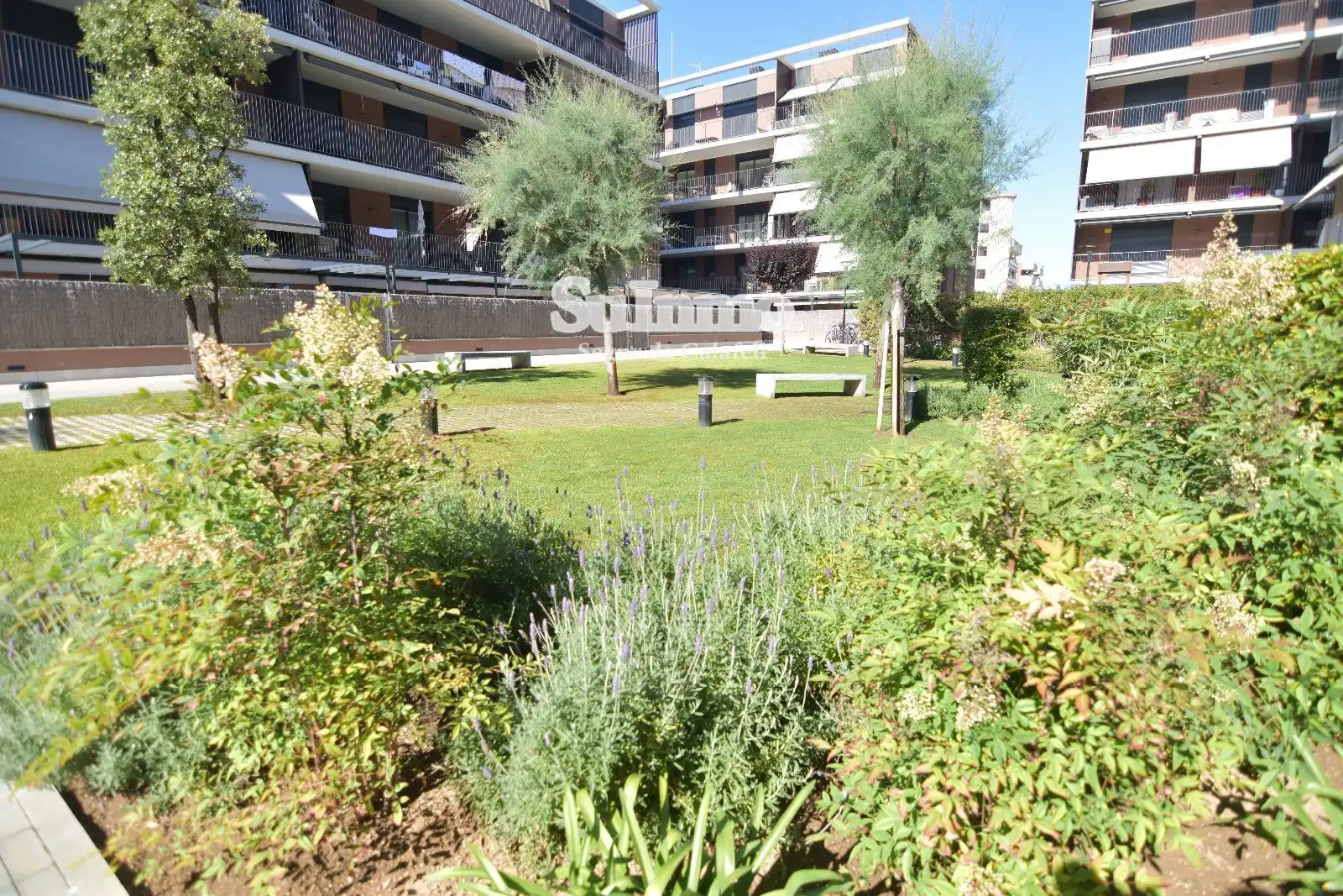 Maisonette mit Pool zum Verkauf in Cossetania, imagen 42