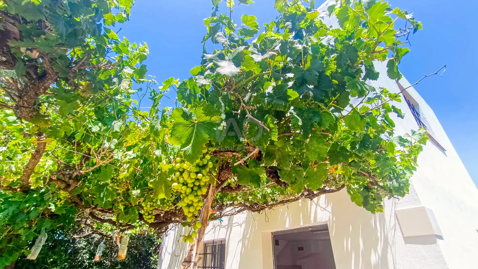 Jardín de Casa o chalet en venta en Albalat de la Ribera con Calefacción y Terraza