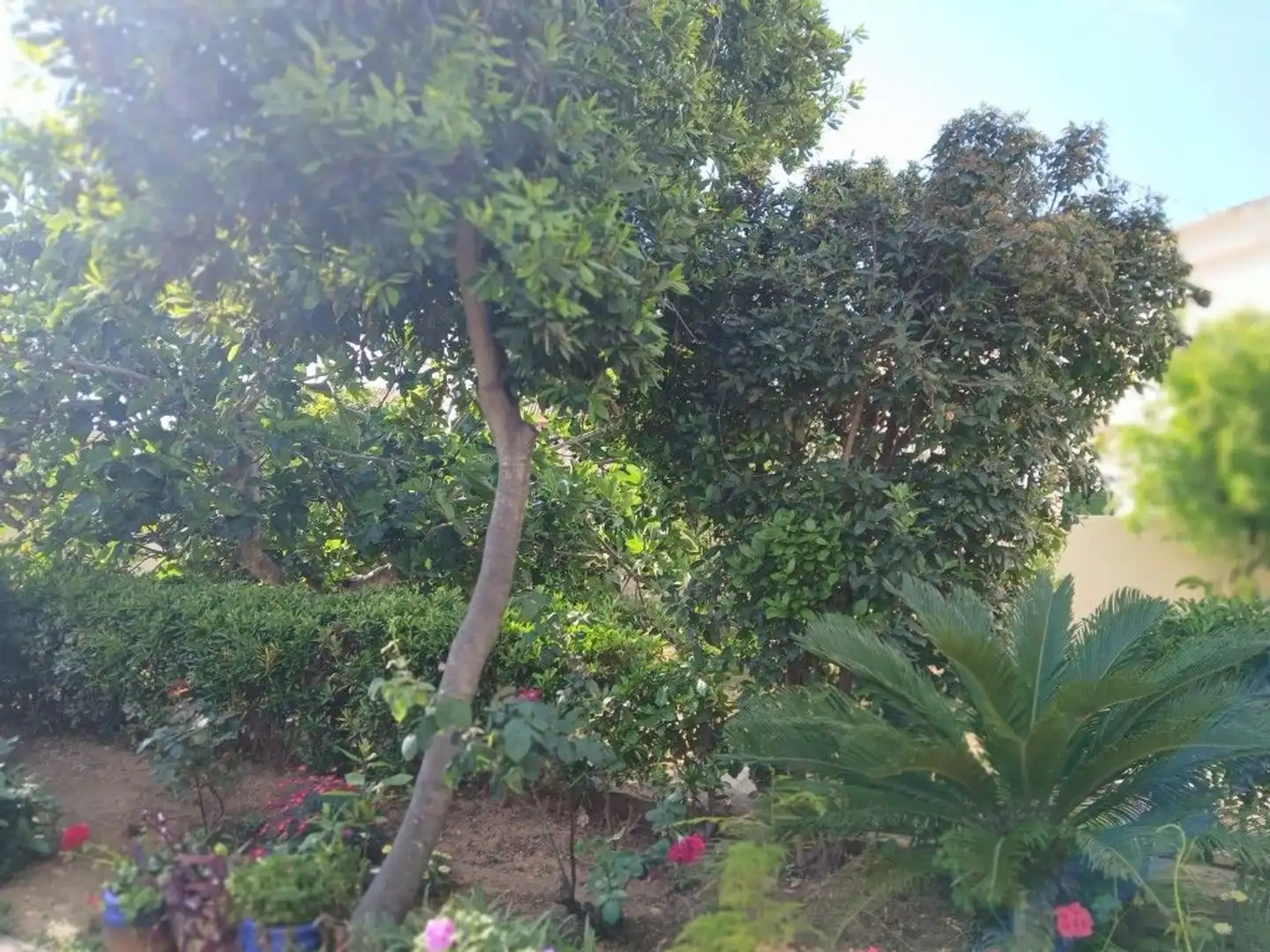 Casa adosada en venda en Montserrat amb Calefacció, Jardí privat i Terrassa