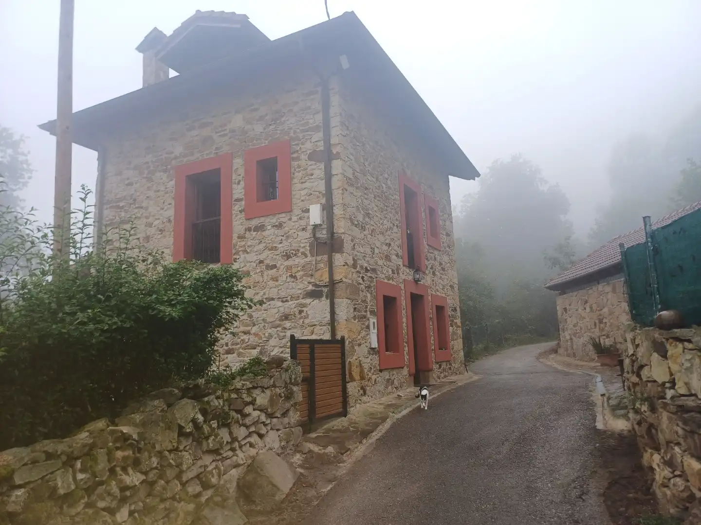Vista exterior de Casa o xalet en venda en Oviedo 