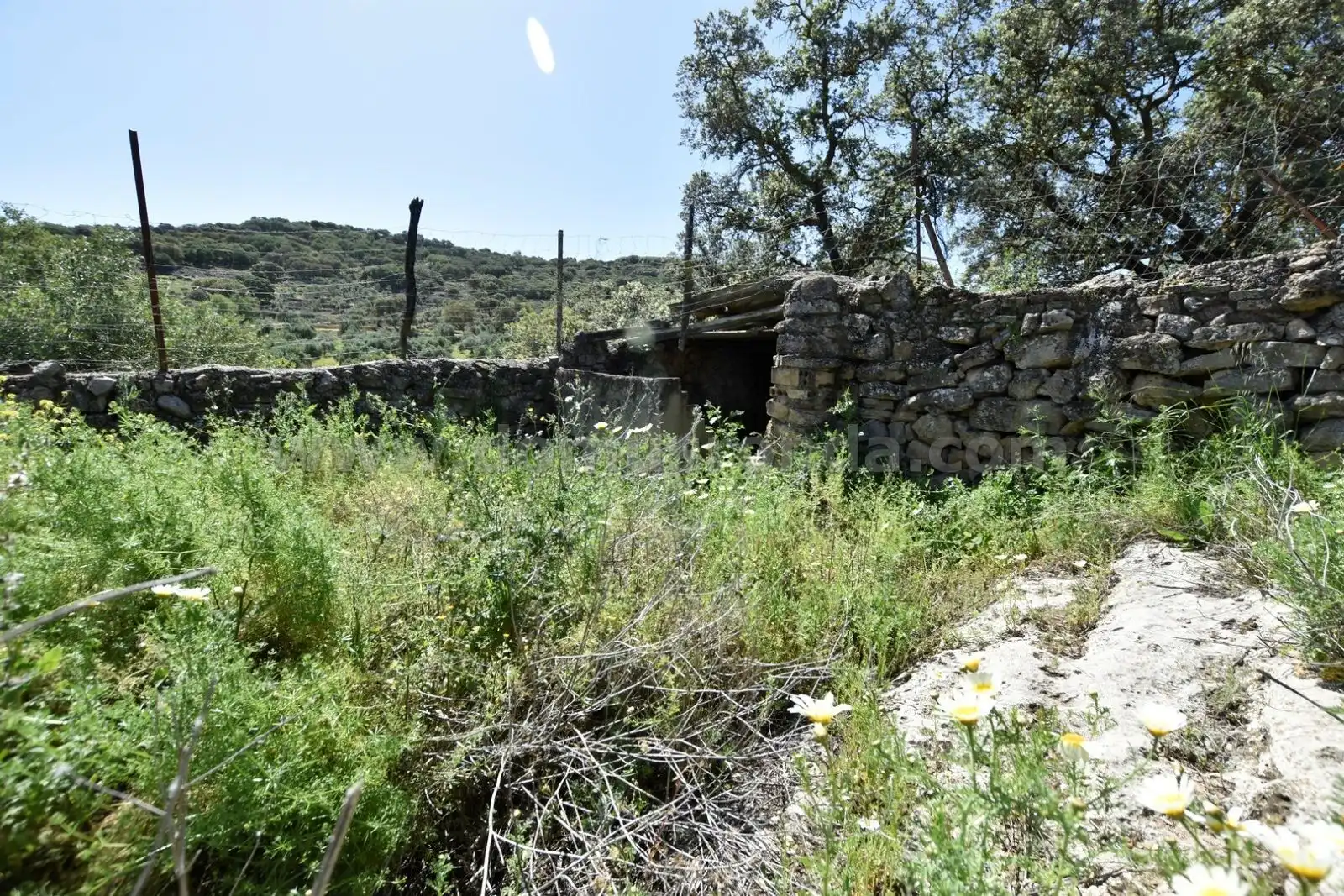 Finca rústica en venda en Ronda