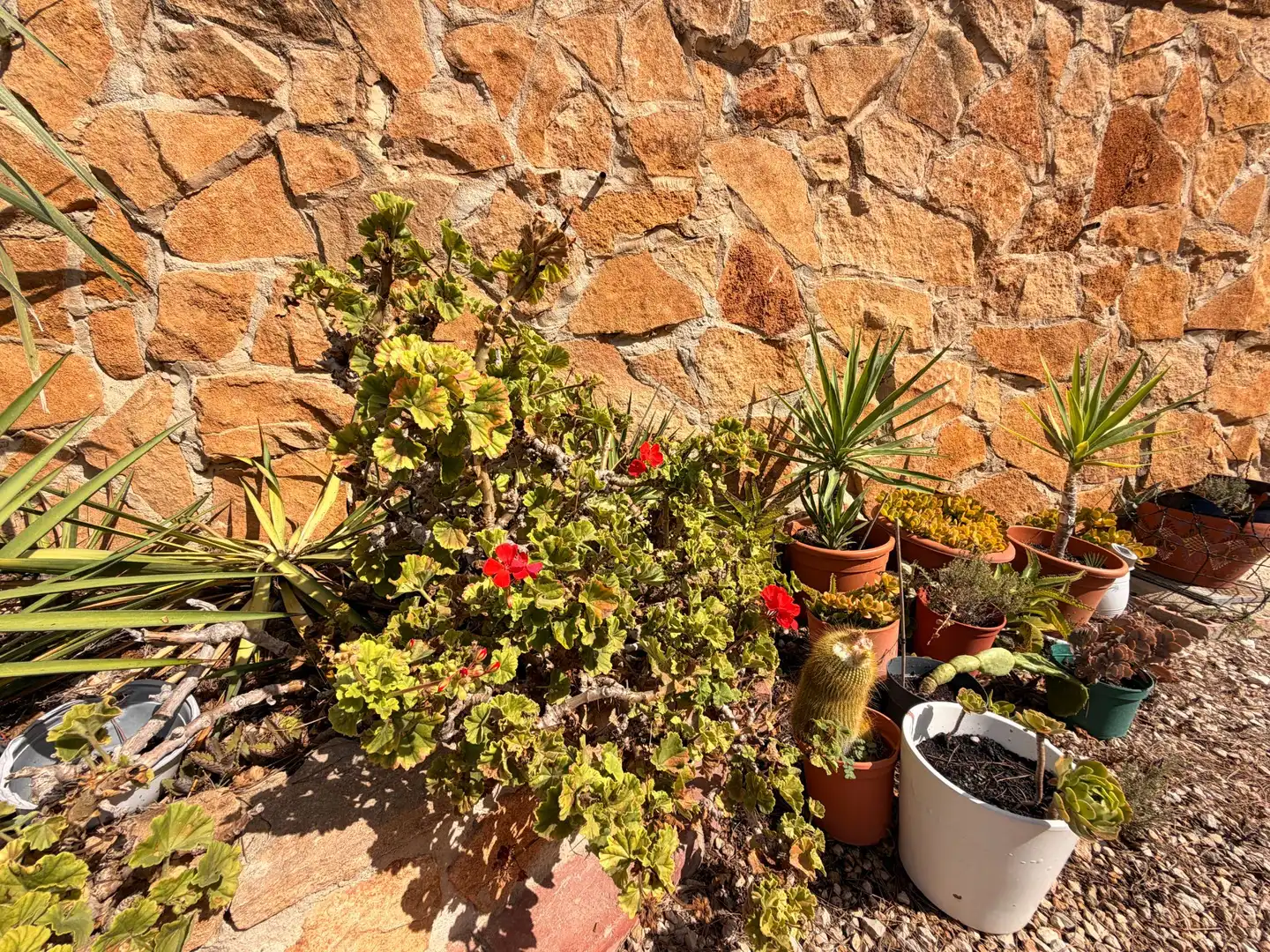 Haus zum Verkauf in Sant Jordi d'Alfama, imagen 18