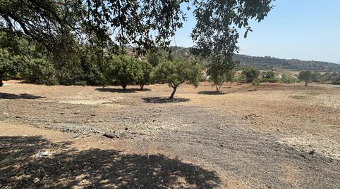 Foto 3 de Terreno en venta en Camino Nicola, El Velerín, Málaga